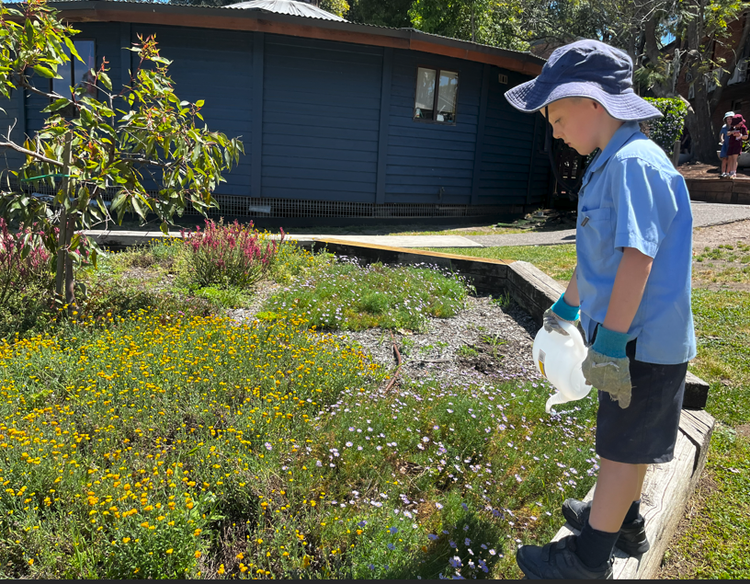 A student watering the garden